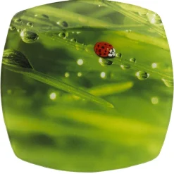 Assiette à dessert carrée verte design coccinelle
