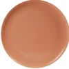 Assiette en plastique couleur unie x 4