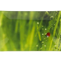 Assiette plate rectangulaire verte design coccinelle