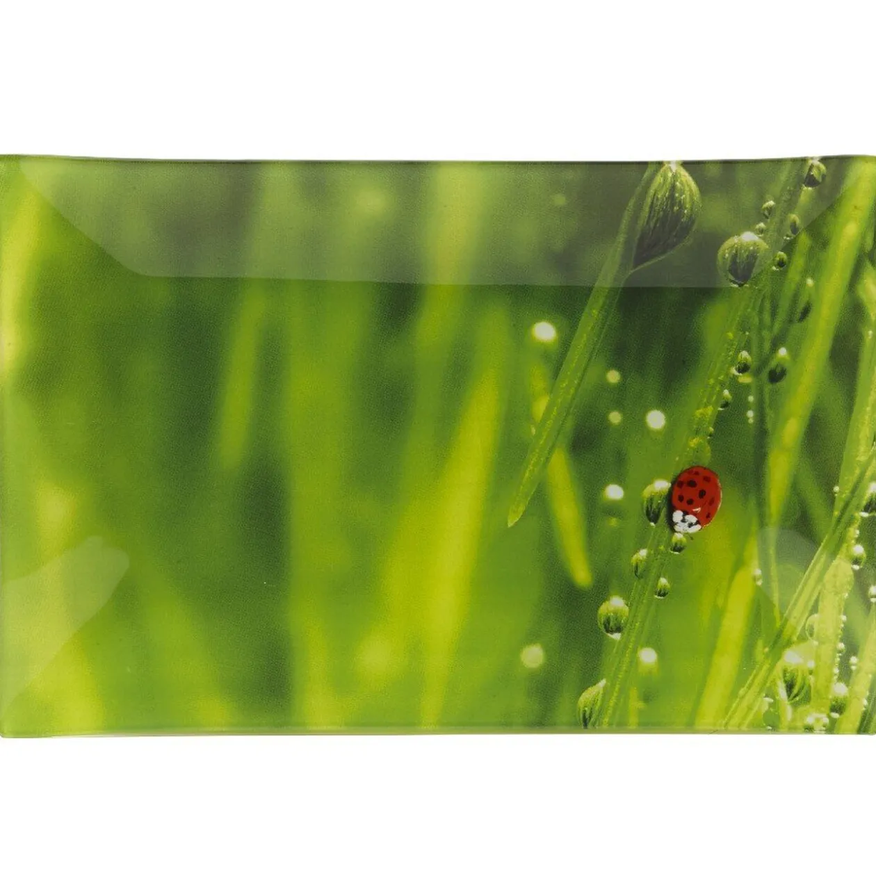 Assiette plate rectangulaire verte design coccinelle