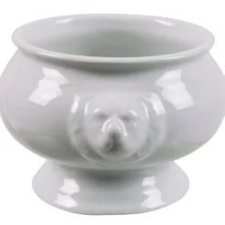 Bol tête de lion porcelaine