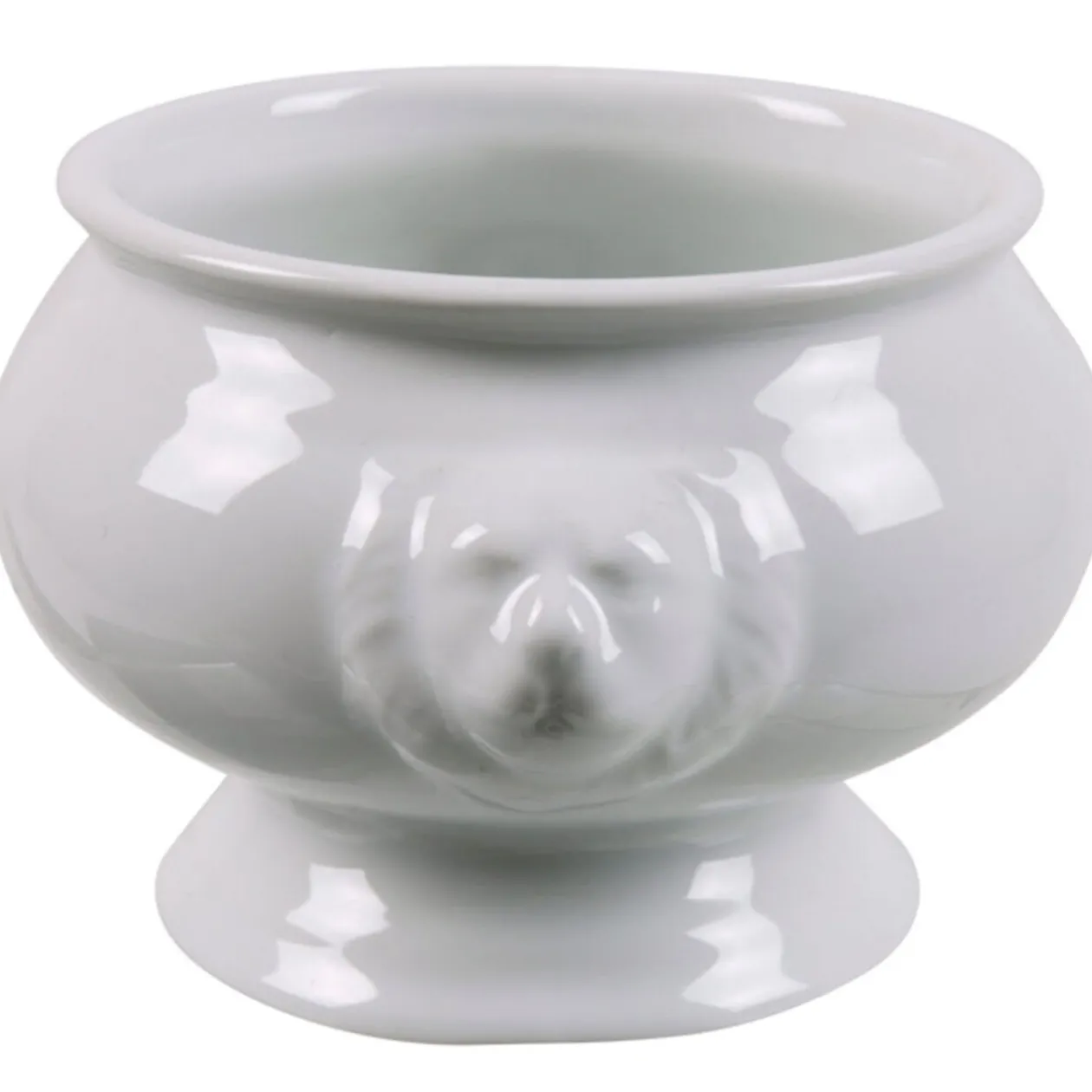 Bol tête de lion porcelaine