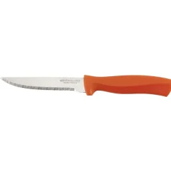 Couteau à steak lame inox 10 cm