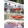 Lot de 10 verres à ballon transparents 19cl