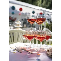 Lot de 10 verres à ballon transparents 19cl