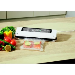 Machine sous vide Homday