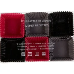 MOULE SILICONEX12