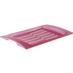PLATEAU PLASTIQUE