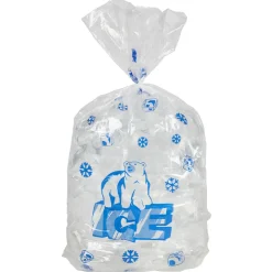 Sachet de 100 glaçons